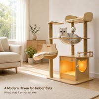 Arbre à chat intégré, plateforme de couchage pour chat en forme de capsule spatiale surdimensionnée, échelle, griffoir, accessoires pour chat
