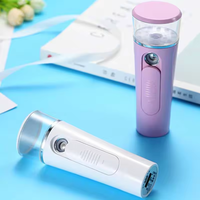 Mini Skincare Facial Steamer USB Rechargeable 30ML Instrument de reconstitution de l'eau pour les femmes