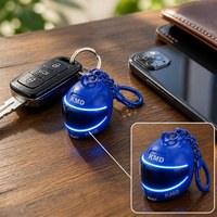 Porte-clés de casque de moto en plastique LED créatif et durable, mini lampe torche lumineuse, directement de l'usine