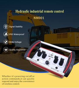 Control de Precisión con Protección Contra Sobrecarga, Control Remoto Hidráulico Proporcional para Maquinaria Móvil - Product Image 6