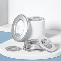 304 Stainless Steel Belleville Washers Conical Disc Spring Cup Washers with Zinc Finish DIN Standard