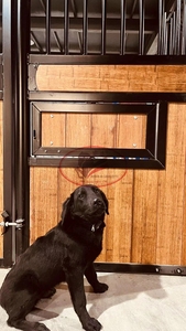 Profesyonel binicilik kullanımı için yüksek standart hareketli at kutusu hızlı kurulum çelik çerçeve kararlı - Product Image 6