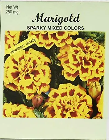 seeds flowers plants garden