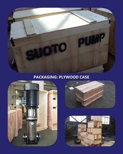 Stainless Steel Vertical Multistage Centrifugal CDL Clean Water Pump High Corrosion Resistant Industrial Use - Product Image 4