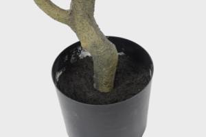 ต้นไม้ประดิษฐ์5.6 118ซม. จำลองพืชสีเขียวบอนไซ - Product Image 4