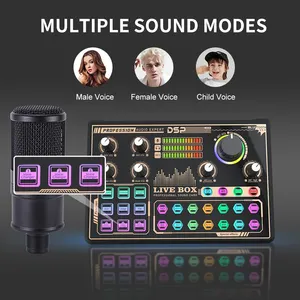 Mikrofon siaran langsung OEM pabrik Mixer Audio kartu suara Studio 2 in 2 out dengan 14 efek tombol