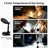 Lampe de lecture LED mini pliable rechargeable USB, protection oculaire sans lumière bleue, idéale pour la lecture au lit ou dans la chambre - Vente en gros