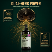 Champú al por mayor de Ganoderma Negro y Polygonum 500ml Líquido para el Crecimiento del Cabello, Fortalecimiento, Nutrición y Reparación del Cuero Cabelludo para Adultos