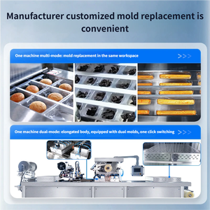 Máquina Automática para Sellado de Bandejas con Film Estirable, 4-7 Ciclos/Min, Ancho de Banda Inferior <span class=keywords><strong>322</strong></span>/422/522/622mm - Product Image 5
