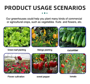 Serres agricoles de mur de verre de cadre en aluminium préfabriqué de Multispan de grand espace d'usine avec le système croissant hydroponique - Product Image 6