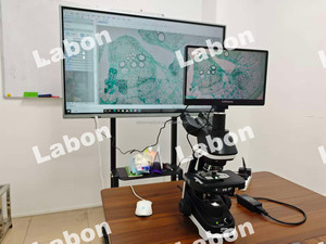 Microscope biologique trinoculaire Ei avec éclairage LED, grossissement 40x-1000x, pour usage en laboratoire - Product Image 6