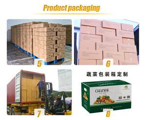 ZunMeiWei collations exotiques du japon collations aux fruits et légumes collations aux fruits et légumes puce d'oignon dur - Product Image 3