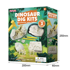 Giocattoli Educativi STEM per Bambini, Kit di Scavo Scheletri di Dinosauri, Forniture Scolastiche dalla Fabbrica Cinese - Product Image 2