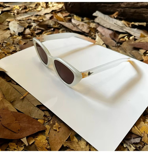 Nouvelles Lunettes de Soleil Tendance 2025 pour Hommes et Femmes, Monture PC Œil de Chat de Haute Qualité, Logo Personnalisé, Vente en Gros - Product Image 3