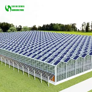 Estufa de energia solar moderna comercial para agricultura