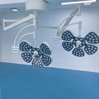 Lampe chirurgicale LED à double tête montée au plafond, sans ombre, pour hôpital, équipement médical vétérinaire, éclairage de salle d'opération