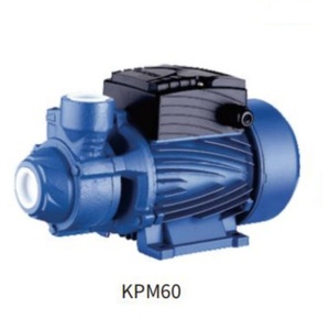 Pompe à eau périphérique SUOU QB60 haute performance 0,37 kW pour le jardin domestique, le surpression et les systèmes automatiques - Product Image 2