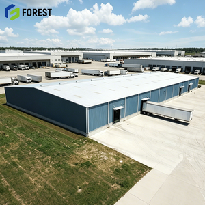 Parque Logístico Modular de Acero Estructural Llave en Mano, Almacén Prefabricado de Gran Altura para Almacenamiento de Mercancías - Product Image 1