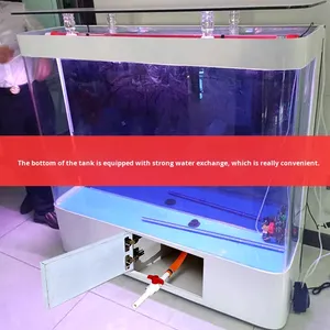 Licht luxe <span class=keywords><strong>aquarium</strong></span> in Europese stijl, dubbel acryl, vrijstaand, voor binnen- en buitengebruik op een bureau, geen waterwisseling nodig. - Product Image 2