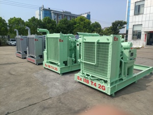 Motor Diésel Atex <span class=keywords><strong>de</strong></span> 150KW a Prueba <span class=keywords><strong>de</strong></span> Explosiones para Campos Petroleros, Arranque Hidráulico, Totalmente Mecánico - Product Image 5