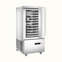 Industriële Keuken Vriesapparatuur Untar Lage Temperatuur Vlees Zeevruchten Iqf Snelvriezer Contact Ontploffingsplaat Vriezer