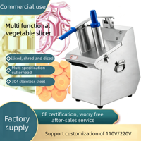 Hachoir multifonctionnel pour fruits et légumes, coupe-oignons, coupe-pommes de terre, mandoline, trancheuse à légumes