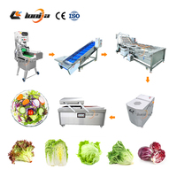 150kg/uur Fruit Salade Verwerkingsmachine Salade Was- en Snijmachine Salade Transportband Salade Waslijn