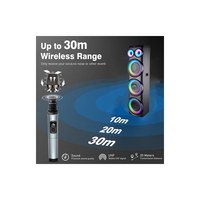 Altavoz Inalámbrico de Madera de 3*12 Pulgadas, Nuevo, con Luces LED RGB y Control por Voz, Recargable, Ideal para DJ y Iglesias