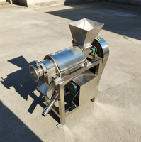Fruchtextrakt-Spiralentsafter 220V Motor Hochleistungs-Karotten-Ingwer-Zitronen-Entsafter für Fruchtverarbeitungsanlagen