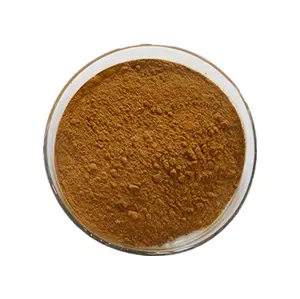 Hot Sale Rosmarinic Acid Rosemary Extract Powder 20% Manufacturer Rosmarinic Acid