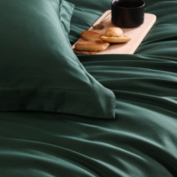 Taies d'oreiller Draps de lit Ensemble de literie pour la maison et l'hôtel Taille Emperor Super Emperor Lavable en machine Ensemble de housse de couette personnalisée Qualité supérieure