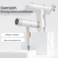 Vente chaude 800W Concept en forme de T à faible bruit Sèche-cheveux à séchage rapide Machine Sèche-cheveux avec accessoires