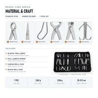 Sécateur en acier inoxydable pour plantes succulentes, ciseaux de taille pour boutons, outils de coupe pour jardin et bonsaï