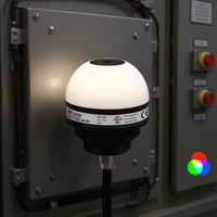 Indicateur lumineux LED blanc Di-Soric SBP-FK-R50D-1B-2M, 24V DC IP65, corps en plastique en forme de dôme, borne à vis, trou de 22 mm, 1,4W, blanc froid