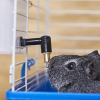 Distributeur d'eau automatique en acier inoxydable pour lapin, outil facile à utiliser pour les petits animaux