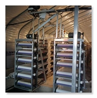 Cage Automatique à Cailles avec Système de Collecte Automatique d'Œufs de Caille pour 100 000 Cailles