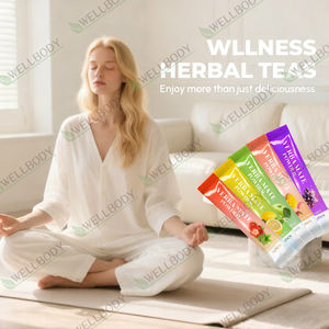 ウェルボディ OEM パケット 純粋なマテ茶エキス ピーチマンゴー風味 大人用免疫サポート インスタントマテ茶パウダー - Product Image 2