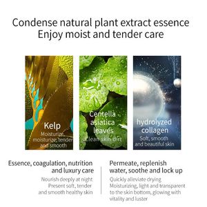 Nueva mascarilla facial verde de belleza para el cuidado de la piel, hidratante y blanqueadora, orgánica y natural, con extracto de algas marinas Big Leaf Seaweed Boseine, marca privada <span class=keywords><strong>BAOM</strong></span>. - Product Image 5