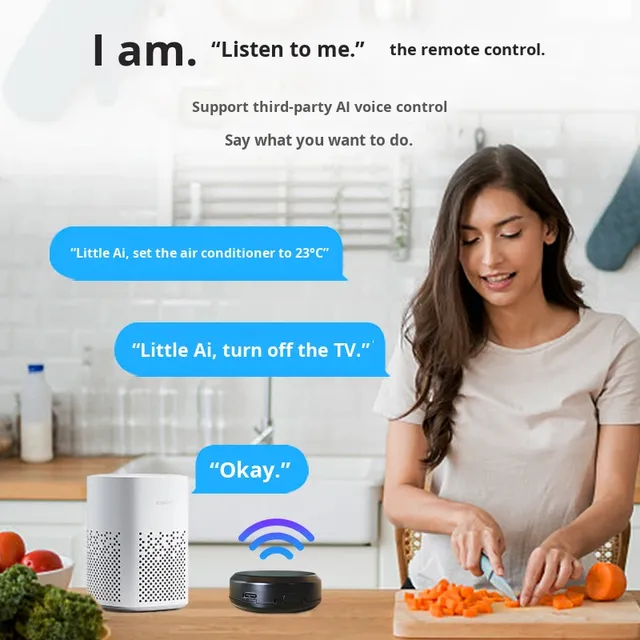 Tuya Smart Infrared Remote Control with Voice Function Universal Model WHHWYK01