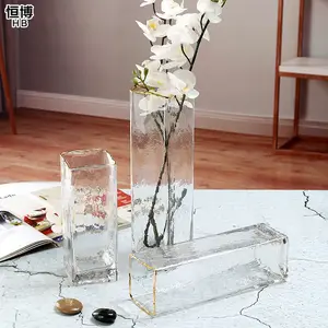 Ventes directes d'usine vase en verre motif froid bouche en or simple salon eau fleurs surélevées décoration