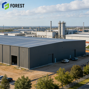 Almacén de Estructura de Acero, Construcción Robusta, Resistente al Fuego, de Alta Gama, para Reparación de Automóviles, Fácil Mantenimiento, Estructura de Soporte - Product Image 1