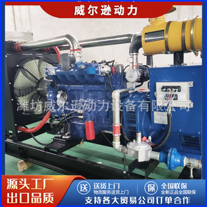 Grupo electrógeno de gas de 80 kW con motor de gas natural para ganadería, equipo de generación de energía de biogás, fabricante Weifang - Product Image 2