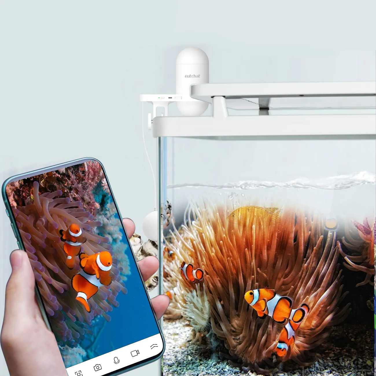 Minitanque de Acuario, Alimentador automático inteligente de peces con pantalla LCD Digital