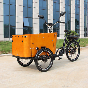 Tricycles <span class=keywords><strong>électrique</strong></span>s CE 250W/500W, <span class=keywords><strong>vélo</strong></span> cargo à 3 roues avec <span class=keywords><strong>remorque</strong></span> et boîte, <span class=keywords><strong>vélo</strong></span> cargo <span class=keywords><strong>électrique</strong></span> familial à trois roues - Product Image 3