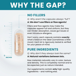 Now Compléments Multivitamine méthylée pour Adultes Femmes Hommes Multi-Capsules Fer B Complexe Zinc Ginkgo Améliorer le système immunitaire - Product Image 5