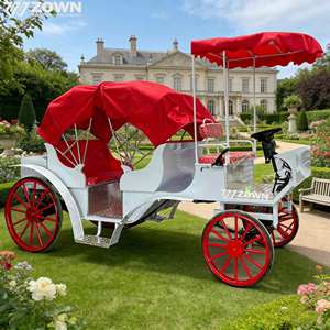 Voiture électrique de tourisme personnalisée en usine, propulsée par batterie, sans chevaux, pour le transport des visiteurs des centres de villégiature - Product Image 1