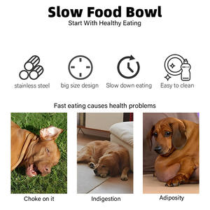 Tigela de Alimentação Lenta para Cães em Aço Inoxidável 304, Durável, Impermeável e Portátil, com Bordas Arredondadas para Prevenir Engasgos - Product Image 3