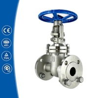 Vanne à opercule à double bride à joint rigide en acier inoxydable CF8 DN150 PN16 pour le service pétrole et gaz