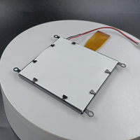 CH160160A-2-L 160x160 COG Dot Matrix LCD Display 160160 Layar Grafis UC1698 FPC Modul LCD Langsung dari Pabrik dengan Sistem Weld-in