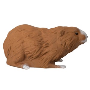 Cible de tir 3D en mousse PU pour <span class=keywords><strong>cochon</strong></span> d'Inde, entraînement de tir en extérieur pour Cavia Procellus, pour arc classique et arc à poulies - Product Image 4